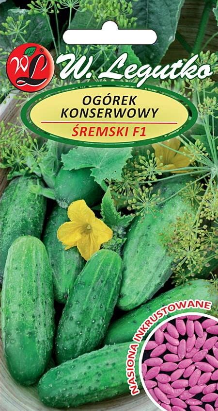 OGÓREK ŚREMSKI F1 2g NASIONA ZAPRAWIANE W LEGUTKO