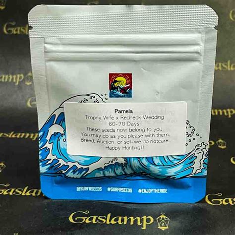 Surfr Seeds Pamela 15 Regular Seeds Gaslamp Seeds