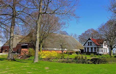 Netherlands Farm House Barn Home Buildings Architecture Lawn