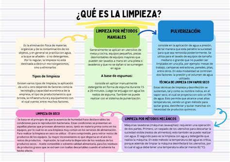 Organizador Grafico Mapa Mental Proyecto Academico Creativo Colorido