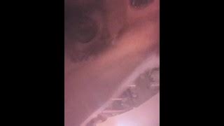 Geronimo Porn Videos Pornhub