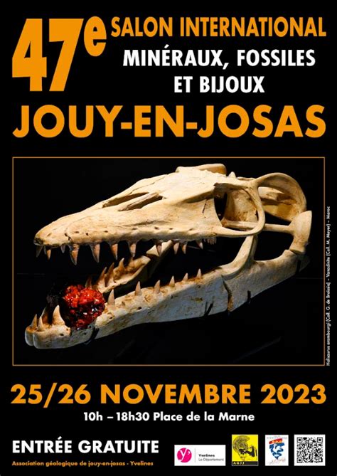 47ème Salon international des minéraux fossiles et bijoux Yvelines Infos