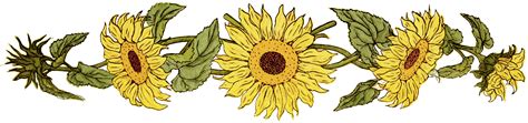 Sunflower Free Border Sunflowers Clipart Cliparts And Others Art