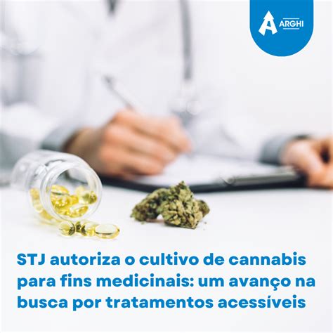 STJ autoriza o cultivo de cannabis para fins medicinais um avanço na