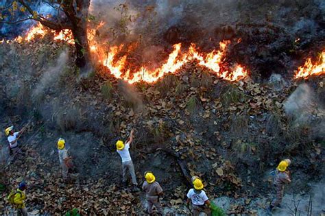 El Cjng Provoca Incendios Forestales En Jalisco