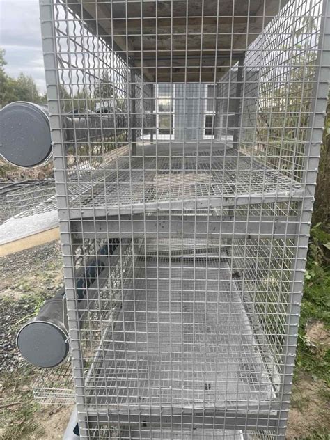 Клетки для кур , для несушек ,клітки для курей: 20 000 грн. - Зоотовари ...