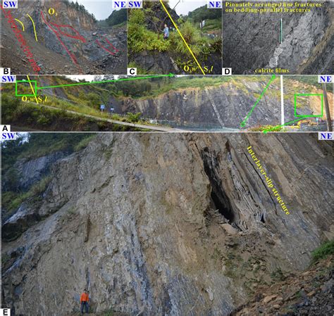 Frontiers Distribution Prediction Of Shale Deformation Structures In