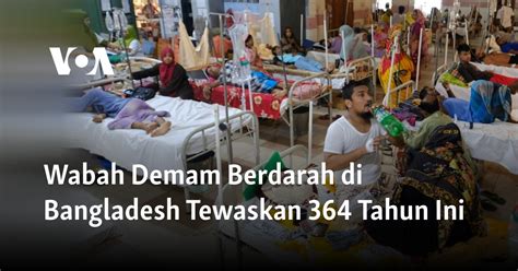 Wabah Demam Berdarah Di Bangladesh Tewaskan Tahun Ini