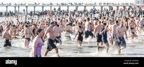 Brooklyn New York Usa St Jan The Coney Island Polar Bear