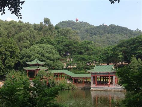 Guangdong 2024: All You Need to Know Before You Go - Tripadvisor