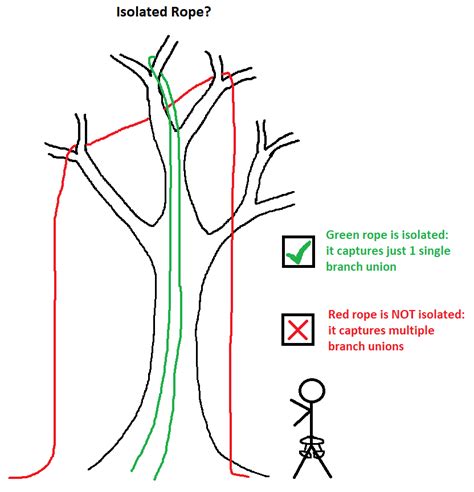 Tree Climbing Basics Educated