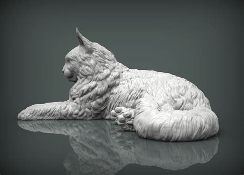 3d File Maine Coon 3d Print Model 🐱 ・3d Print Design To Download・cults