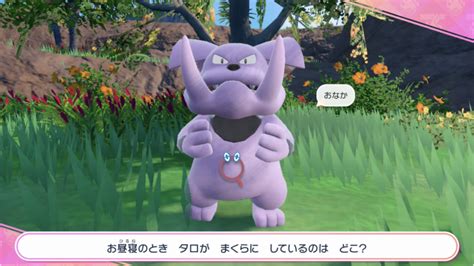 【ポケモンsv】タロのクイズ攻略と手持ちポケモン【スカーレットバイオレット】 ゲームウィズ