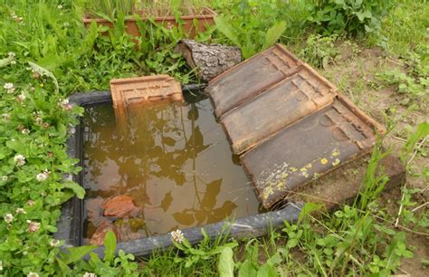 Une mare naturelle au jardin visites et méthodes Le potager permacole