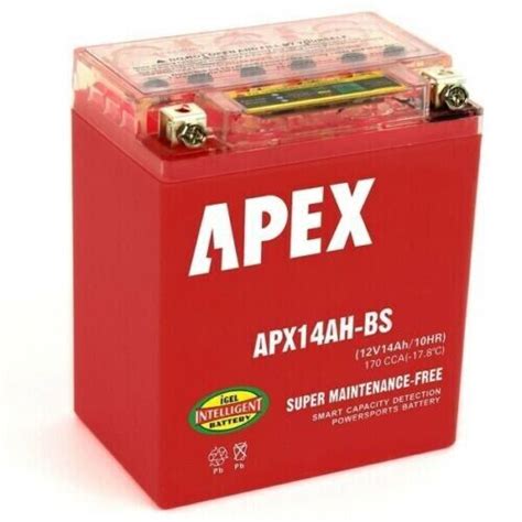 Yuasa YTX14AH BS Replacement Battery By Apex EBay