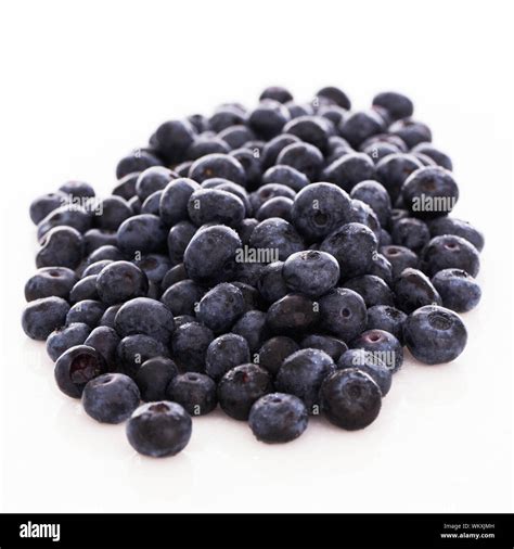 8360 Cut Out Stock Images & Pictures - Alamy