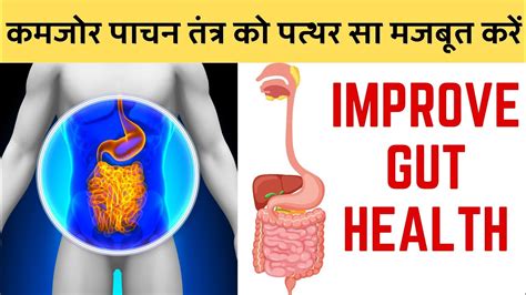 7 Best Easy Tips For Improve Your Gut Health And Digestion पाचन तंत्र को पत्थर जैसा मजबूत बनाएं