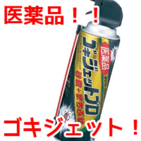 アース製薬 医薬品ゴキジェットプロ 450ml 殺虫スプレー 医薬品