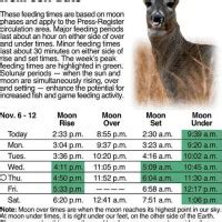 Whitetail Deer Feeding Charts - Best Picture Of Chart Anyimage.Org