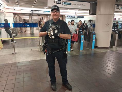 Police Return Emotional Support Rabbit That Ran Loose In Granville Skytrain Station Vancouver Sun