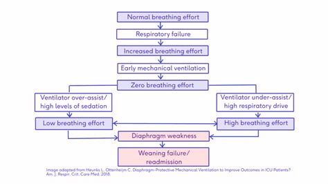 Diaphragmatic Breathing and Ventilator-Induced Diaphragmatic Dysfunction - Physiopedia