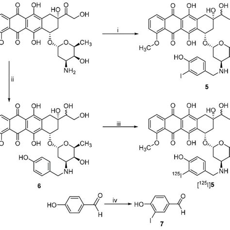 Scheme 2 Synthetic Scheme Of 5 And 125 I 5 Reagents And Conditions