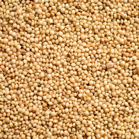 Amaranth Seeds – MDECA