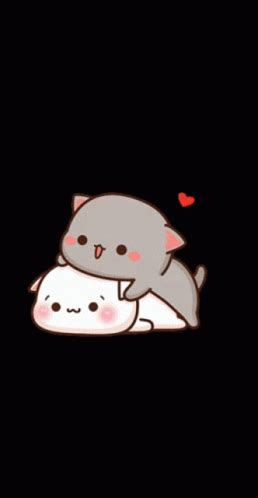 Sex Cat Sex Cat Discover Share GIFs