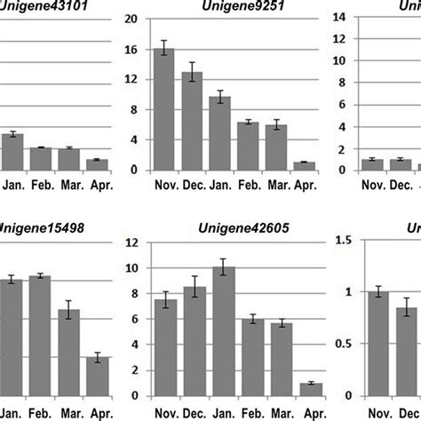 QRT PCR Analysis Of WRKY Gene Expression During The Overwintering C