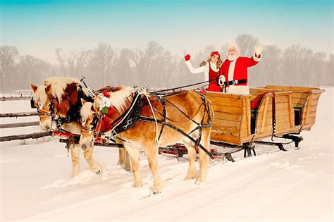 Christmas,Horse,Snow,Sleigh Pictures, Images and Stock Photos - iStock