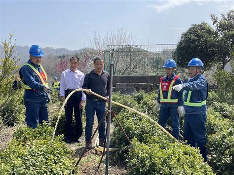 电力“引擎”动力足 万象“耕”新不负春央广网