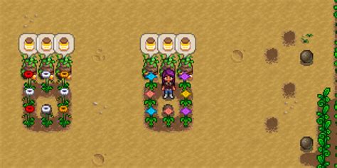 Ranking Every Honey Flavor In Stardew Valley