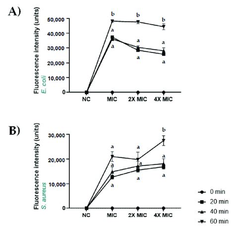 Membrane Permeabilization Induced By Cbda In S Aureus Atcc 6538 And E Download Scientific