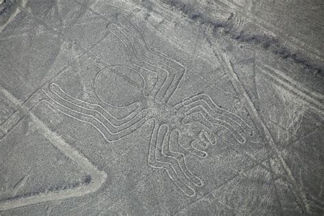 Vista Aerea Delle Linee Di Nazca Owlman Immagine Stock Immagine Di