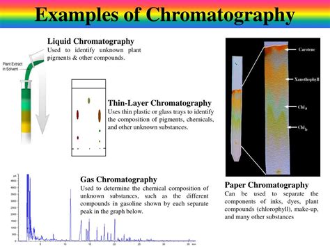 Ppt Applications In Forensic Science Powerpoint Presentation Id