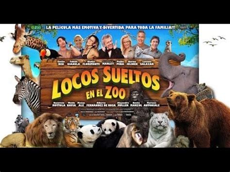 locos sueltos en el zoologico pelicula completa en español YouTube