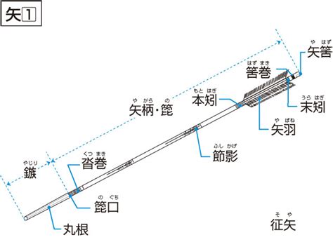 「矢じり」の意味や使い方 わかりやすく解説 Weblio辞書