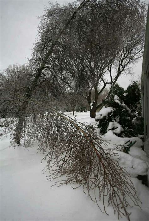 Massive Ice Storm Knocks Out Power Causes Havoc In Southwestern Conn