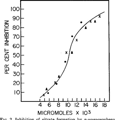 Figure 2 from Pyruvate Metabolism OF PYRUVATE UTILIZATION IN HEART ...