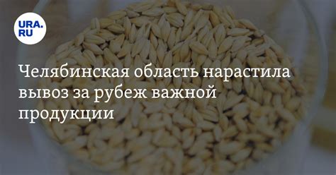 Челябинская область на 20% увеличила поставки за рубеж