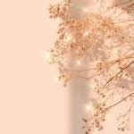 Hank And Alice S Porn Videos Pornhub