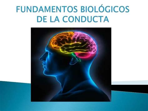 Fundamentos biológicos de la conducta l