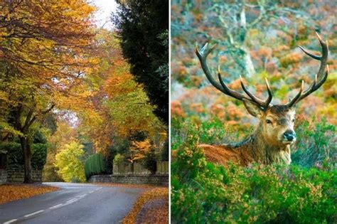 Steve Irwin S Hot Niece Rebecca Lobie Shows Off Cleavage As She Bursts From Tiny Top Daily Star