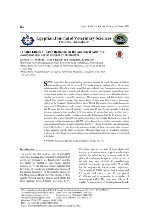 Pdf In Vitro Effects Of Laser Radiation On The Antifungal Activity Of