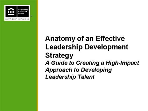 Tm Anatomy Of An Effective Leadership Development Strategy