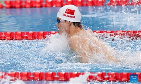 Chinas Qin Wins 50m Breaststroke Gold At Swimming World Cup Global Times