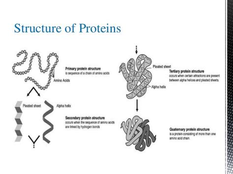 Biopolymer