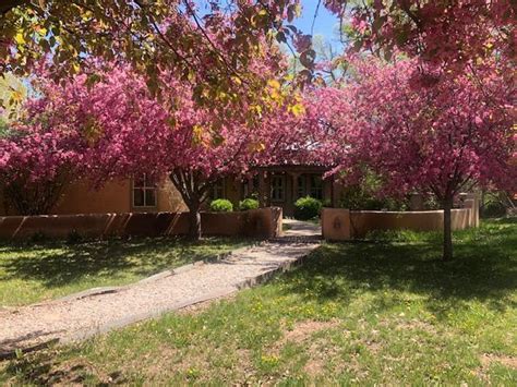 Montano Ln Corrales Nm Realtor