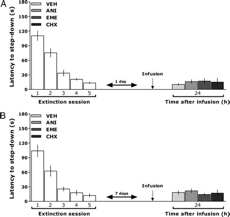 Retrieval Induces Reconsolidation Of Fear Extinction Memory Pnas