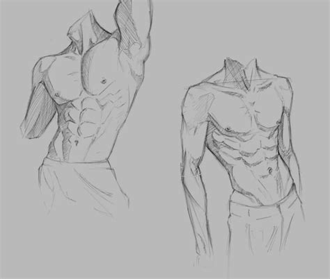 Update Male Anatomy Sketch Best Seven Edu Vn